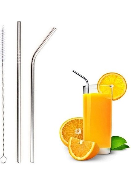 Metal Pipet Seti Paslanmaz Çelik Düz ,Eğik Pipet ve Pipet Temizleme Fırçası
