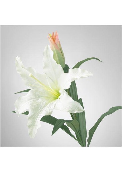 Yapay Çiçek, Zambak-Beyaz 85 cm 1 Dal Beyaz Çiçek Ev Dekorasyonu fiyatları