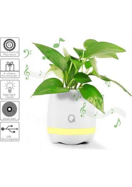 Dekoratif Saksı Mono Bluetooth Speaker