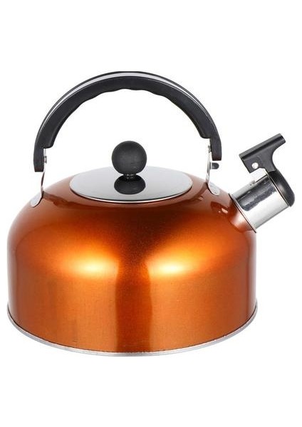 Islık Çay Su Isıtıcısı Pratik Kaynama Çaydanlık Paslanmaz Çelik Çay Kettle | Su Isıtıcılar (Yurt Dışından)