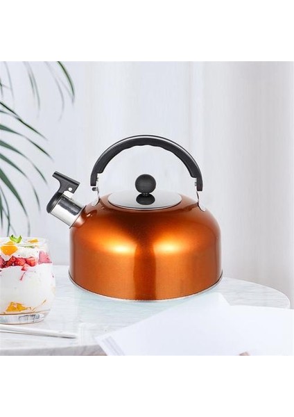 Islık Çay Su Isıtıcısı Pratik Kaynama Çaydanlık Paslanmaz Çelik Çay Kettle | Su Isıtıcılar (Yurt Dışından)