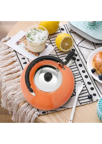 Islık Çay Su Isıtıcısı Pratik Kaynama Çaydanlık Paslanmaz Çelik Çay Kettle | Su Isıtıcılar (Yurt Dışından)