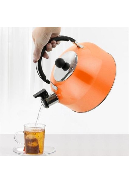 Islık Çay Su Isıtıcısı Pratik Kaynama Çaydanlık Paslanmaz Çelik Çay Kettle | Su Isıtıcılar (Yurt Dışından)