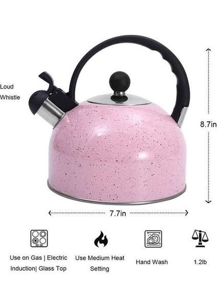 Çay Su Isıtıcısı, Tüm Stopetop Çayı Için Islık Paslanmaz Çelik Taketle, Ince Taban