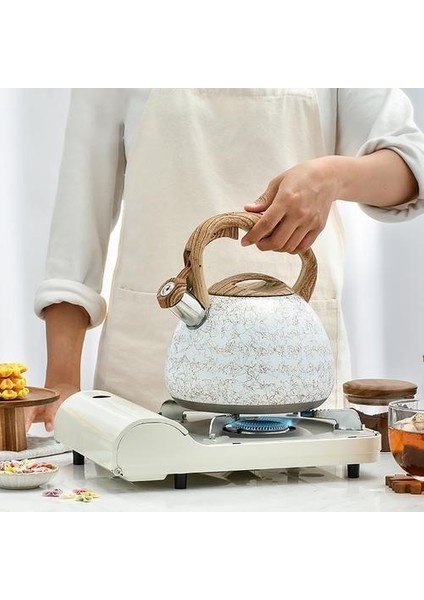 2.8l Islık Su Isıtıcısı Paslanmaz Çelik Çizgi Deseni Su Isıtıcısı Gaz Sobası Indüksiyon Ocak Su Isıtıcısı Anti Haşlanma Kolu ile Kamp | Su Isıtıcılar