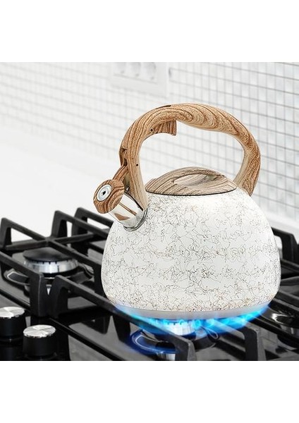2.8l Islık Su Isıtıcısı Paslanmaz Çelik Çizgi Deseni Su Isıtıcısı Gaz Sobası Indüksiyon Ocak Su Isıtıcısı Anti Haşlanma Kolu ile Kamp | Su Isıtıcılar