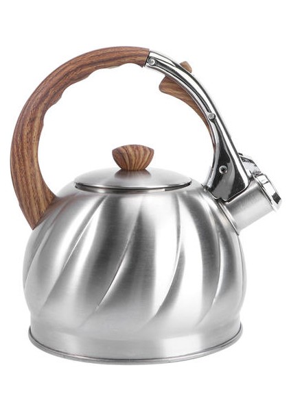Islık Çay Su Isıtıcısı Paslanmaz Çelik Su Kettle Islık Çaydanlık | Su Isıtıcılar