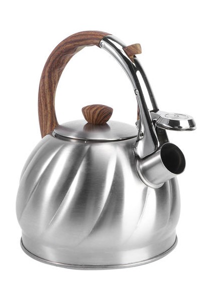Islık Çay Su Isıtıcısı Paslanmaz Çelik Su Kettle Islık Çaydanlık | Su Isıtıcılar