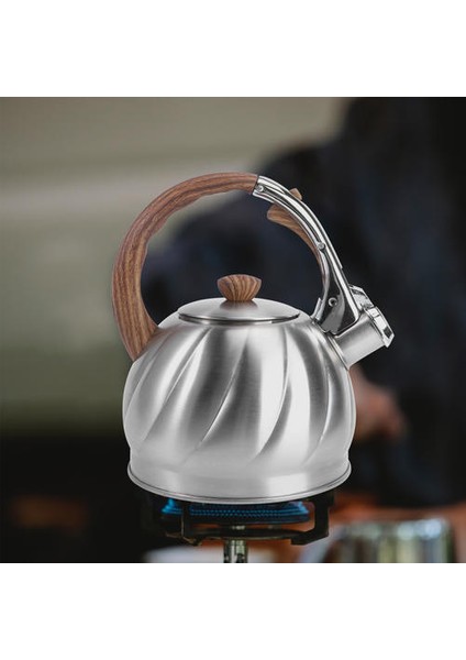 Islık Çay Su Isıtıcısı Paslanmaz Çelik Su Kettle Islık Çaydanlık | Su Isıtıcılar