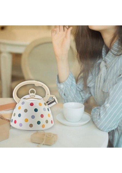 3l Gıda Sınıfı Paslanmaz Çelik Islık Çay Su Isıtıcısı Çaydanlık Isıya Dayanıklı Saplı Çeşitli Pişirme Eşyaları ile Uyumlu | Su Isıtıcılar fırsatları