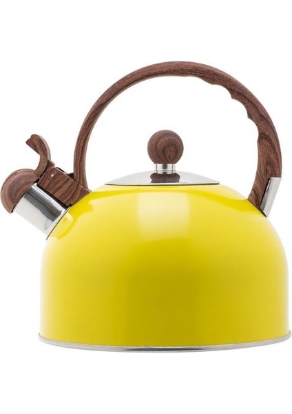 1 Adet 2.5l Paslanmaz Çelik Islık Çay Su Isıtıcısı Stipetops Gıda Sınıfı Çay Potu Isı Kavuş Kolu ile Gaz Indüksiyonlu Ocaklar | Su Isıtıcılar