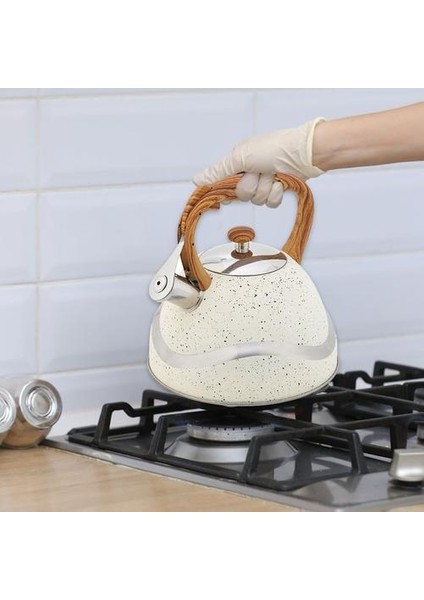 1 Adet 3.5l Antik Paslanmaz Çelik Ahşap Saplı Düz Alt Whistling Su Isıtıcısı Kaynar Çay Kettle (Beyaz) | Su Isıtıcılar modelleri