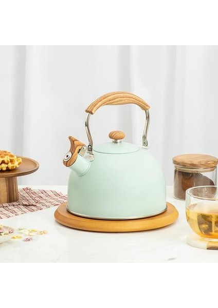 Paslanmaz Çelik Islık Çay Su Isıtıcısı Mat Stovetops Emaye Gıda Sınıfı Çaydanlık Isıya Dayanıklı Gaz Indüksiyonlu Ocaklar Için Kolu | Su Isıtıcılar(Yurt Dışından) fırsatları