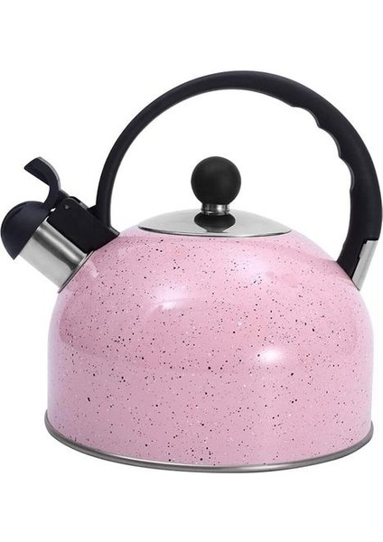 Çay Su Isıtıcısı, Tüm Stopetop Çayı Için Islık Paslanmaz Çelik Taketle, Ince Taban