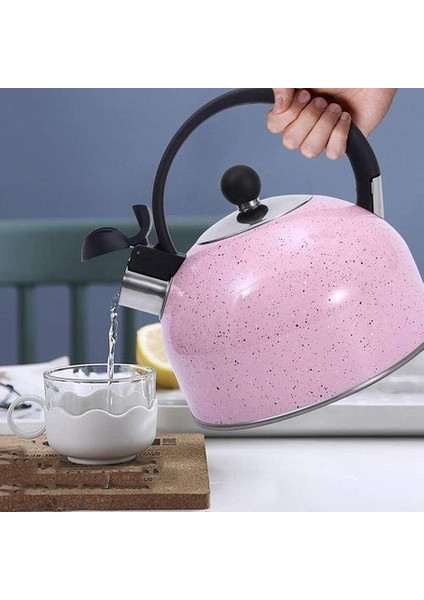 Çay Su Isıtıcısı, Tüm Stopetop Çayı Için Islık Paslanmaz Çelik Taketle, Ince Taban