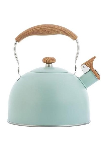 Paslanmaz Çelik Islık Çay Su Isıtıcısı Mat Stovetops Emaye Gıda Sınıfı Çaydanlık Isıya Dayanıklı Gaz Indüksiyonlu Ocaklar Için Kolu | Su Isıtıcılar