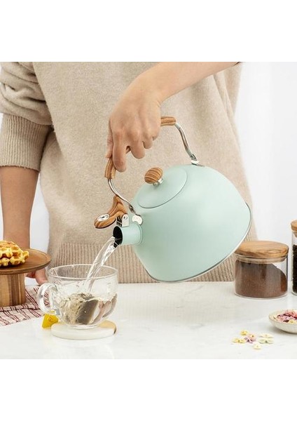 Paslanmaz Çelik Islık Çay Su Isıtıcısı Mat Stovetops Emaye Gıda Sınıfı Çaydanlık Isıya Dayanıklı Gaz Indüksiyonlu Ocaklar Için Kolu | Su Isıtıcılar fiyatları