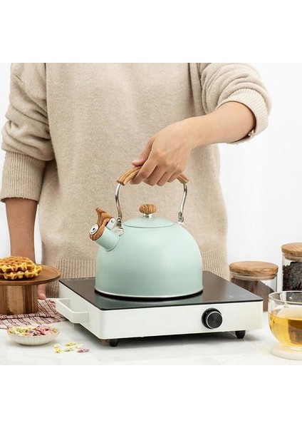 Paslanmaz Çelik Islık Çay Su Isıtıcısı Mat Stovetops Emaye Gıda Sınıfı Çaydanlık Isıya Dayanıklı Gaz Indüksiyonlu Ocaklar Için Kolu | Su Isıtıcılar modelleri