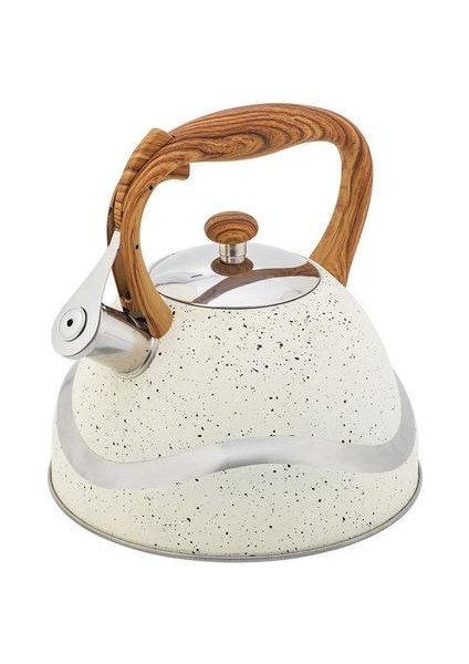 3.5l Paslanmaz Çelik Islık Çay Su Isıtıcısı Kahve Demlik Su Şişesi Isı Kavuş Kolu ile Gaz Sobaları, Indüksiyonlu Ocaklar | Su Isıtıcılar fırsatları