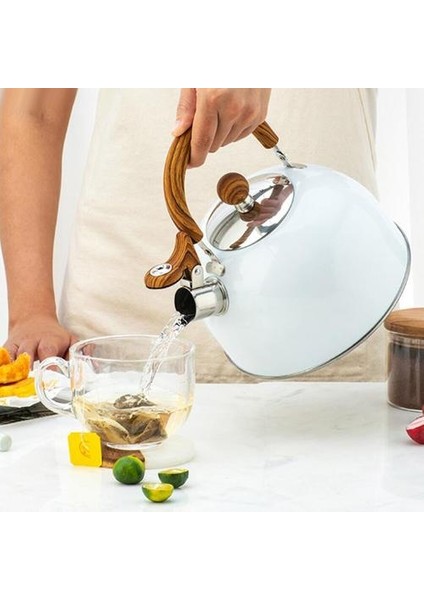 2.5l Isıl Saplı Çay Su Isıtıcısı Isıtılmış Saplı Büyük Kapasiteli Paslanmaz Çelik Çaydanlık Tüm Stovet Için | Su Isıtıcılar modelleri
