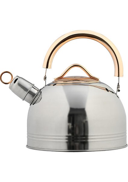 3l Paslanmaz Çelik Isıtma Su Isıtıcısı Islık Tikettle Anti Haşlanma Kaynar Su Isıtıcısı Gıda Sınıfı Çay Potası Için Gaz Indüksiyon Ocaklar | Su Isıtıcılar