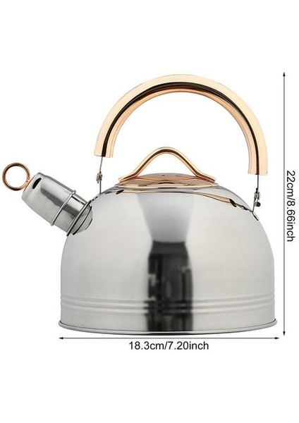 3l Paslanmaz Çelik Isıtma Su Isıtıcısı Islık Tikettle Anti Haşlanma Kaynar Su Isıtıcısı Gıda Sınıfı Çay Potası Için Gaz Indüksiyon Ocaklar | Su Isıtıcılar fiyatları