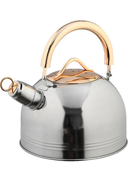 3l Paslanmaz Çelik Isıtma Su Isıtıcısı Islık Tikettle Anti Haşlanma Kaynar Su Isıtıcısı Gıda Sınıfı Çay Potası Için Gaz Indüksiyon Ocaklar | Su Isıtıcılar modelleri