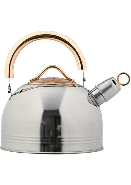 3l Paslanmaz Çelik Isıtma Su Isıtıcısı Islık Tikettle Anti Haşlanma Kaynar Su Isıtıcısı Gıda Sınıfı Çay Potası Için Gaz Indüksiyon Ocaklar | Su Isıtıcılar fırsatları
