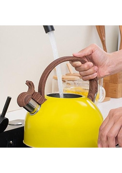 2.5l Islık Su Isıtıcısı Paslanmaz Çelik Çay Su Isıtıcısı Düdük Çay Su Isıtıcısı Su Şişesi Çay Potu Gaz Indüksiyon Ocak Için Mutfak Mutfak | Su Isıtıcılar