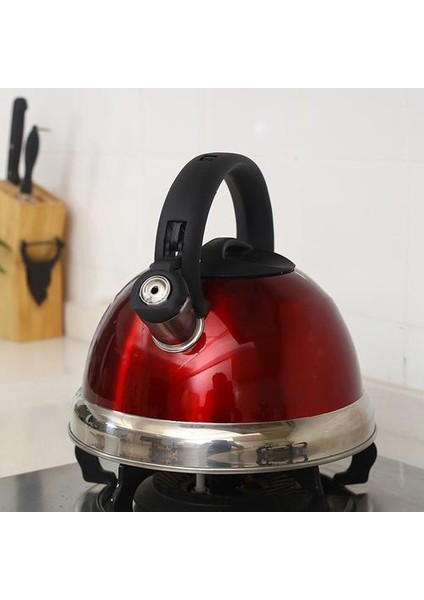 Paslanmaz Çelik Islık Çay Su Isıtıcısı Gıda Sınıfı Çay Potu Isı Geçirmez Kolu ile Stopetop Uygun | Su Isıtıcılar(Yurt Dışından) modelleri