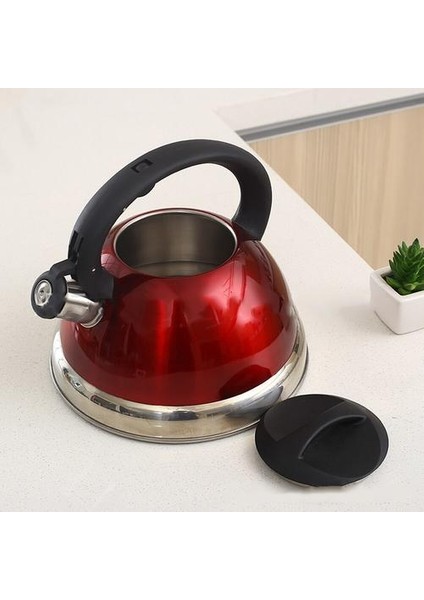 Paslanmaz Çelik Islık Çay Su Isıtıcısı Gıda Sınıfı Çay Potu Isı Geçirmez Kolu ile Stopetop Uygun | Su Isıtıcılar