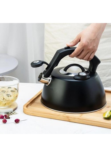 2.5l Islık Çay Su Isıtıcısı Paslanmaz Çelik Kolu Çaydanlık Tüm Soba Tops Gaz Sobası Bouilloire Indüksiyon Ocak Mutfak Eşyaları | Su Isıtıcılar
