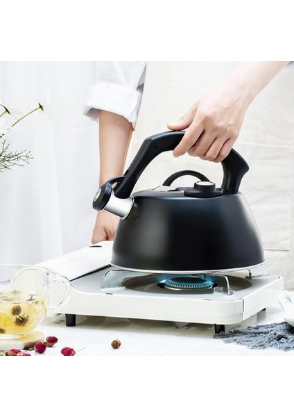 2.5l Islık Çay Su Isıtıcısı Paslanmaz Çelik Kolu Çaydanlık Tüm Soba Tops Gaz Sobası Bouilloire Indüksiyon Ocak Mutfak Eşyaları | Su Isıtıcılar