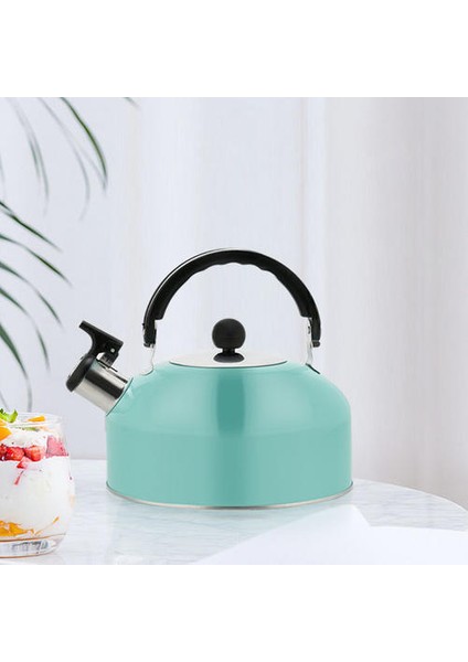 Düz Alt Su Isıtıcısı Dayanıklı Çaydanlık Kaynar Su Isıtıcısı Paslanmaz Çelik Çay Kettle | Su Isıtıcılar (Yurt Dışından) fiyatları