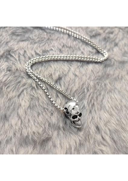 Gri Kuru Kafa Çelik Erkek Kolye ER36BY fiyatları