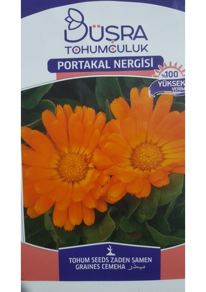 Portakal Nergizi Çiçek Tohumu %100 Yüksek Verim