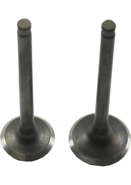 Mondıal Kh 100 Subap Takımı