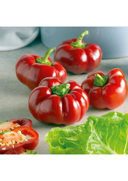 Domates Biber Tohumu Kamber Biberi Tohumu Ekim Seti 20 Adet Tohum + Saksı + Toprak