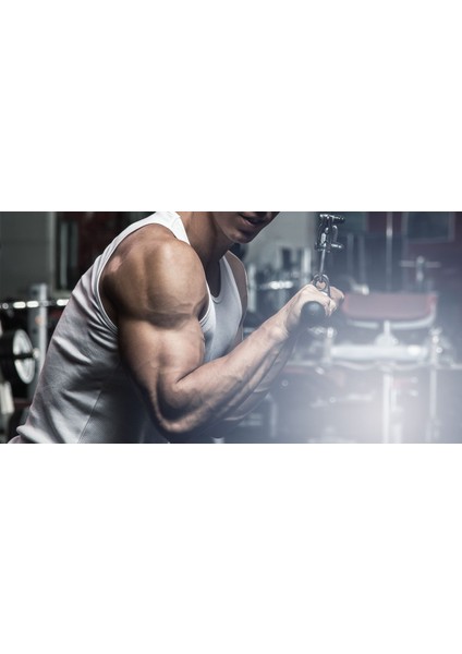 Profesyonel Lat Triceps Bar 30 cm Kanca Hediyeli fiyatları