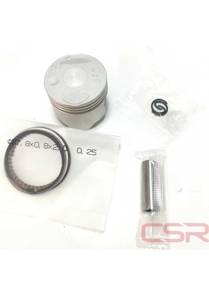 Piston Segman Today Std