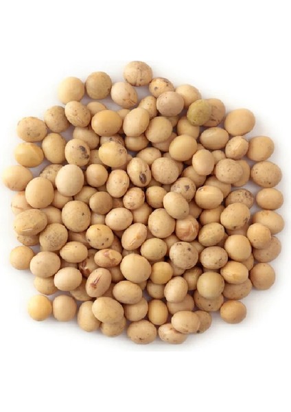 Yerli Soya Fasülyesi Gdo'suz 1 kg fiyatları