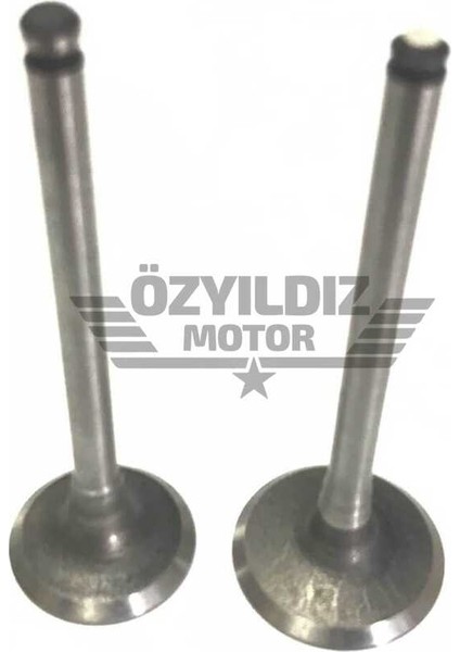 Supap Crypton Tk