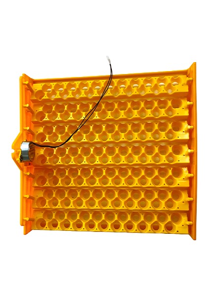 154 Bıldırcın Yumurtası Viyolü 2.5/3 Rpm Motor Dahil