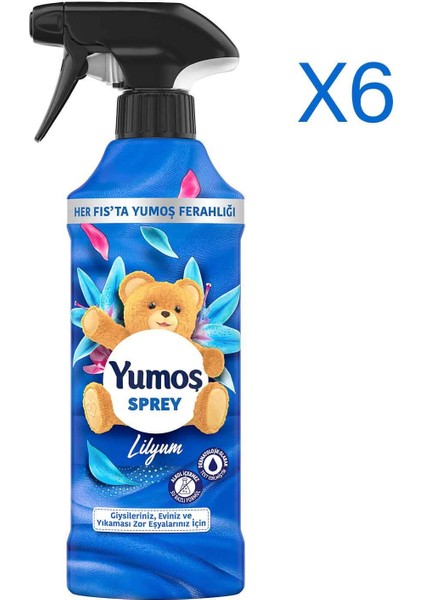 Sprey Yıkaması Zor Eşyalar Için Lilyum 450 ml x 6