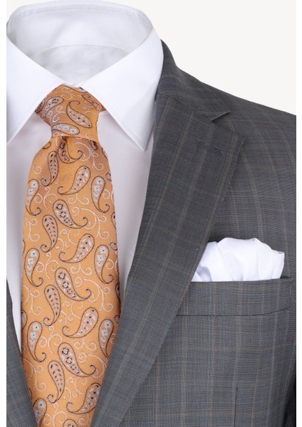 Erkek Gri Ekose Regular Fit Takım Elbise modelleri