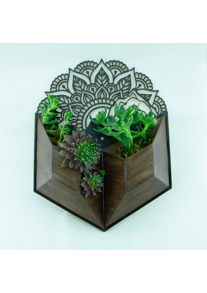 Wall Planter 30 cm Dekoratif Duvar Saksı Tasarım Saksılar
