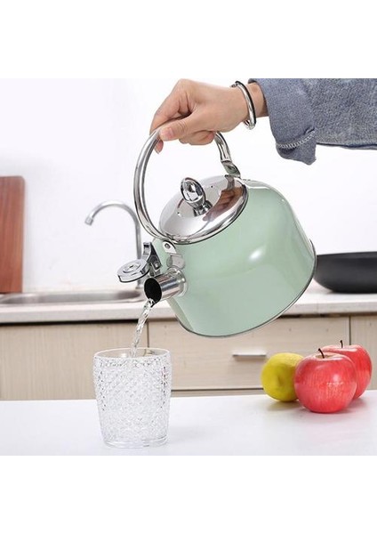 2.5l Islık Su Isıtıcısı Paslanmaz Çelik Çaydanlık (Yurt Dışından)