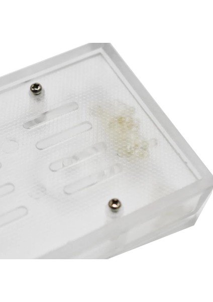 Polimer Puro Kutusu Nemlendirici Humidifier Şeffaf