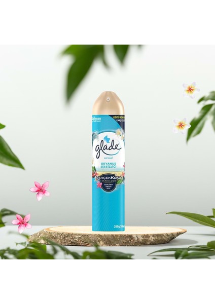 Aerosol Oda Kokusu Okyanus Sessizliği 300 ml fiyatları