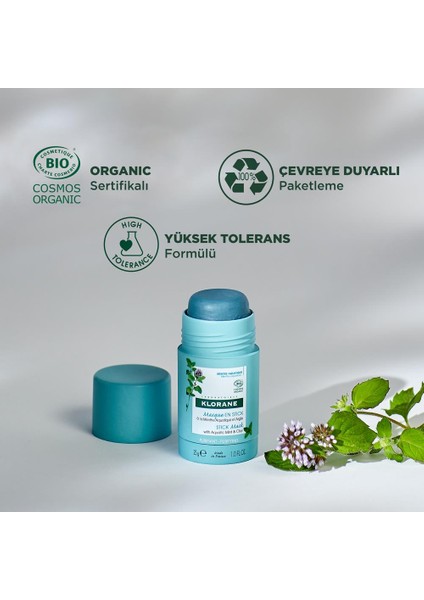 Stick Formda Nane Özlü Yüz Maskesi 25 gr fiyatları